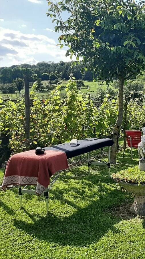 vignoble et massage détente  en bourgogne